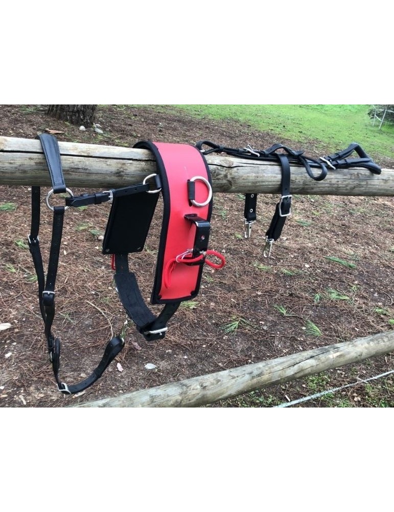 Harnais de ski joering – Sellerie Baude