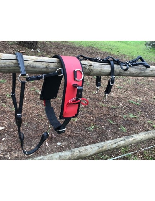 Harnais de ski joering – Sellerie Baude