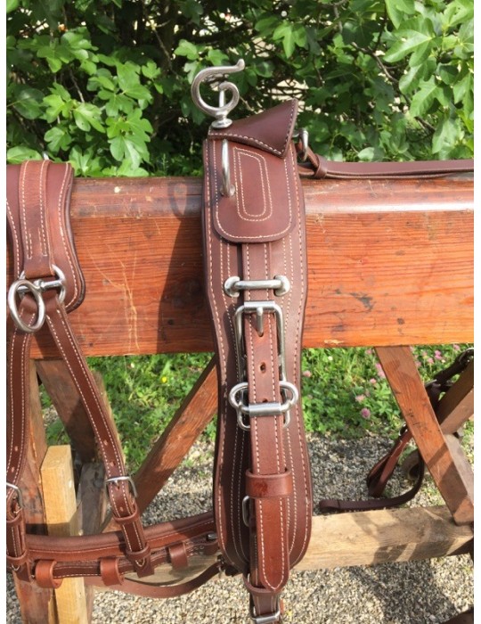 Harnais simple cuir doublé nylon SB