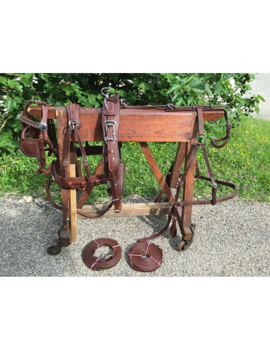 Harnais simple cuir doublé nylon SB