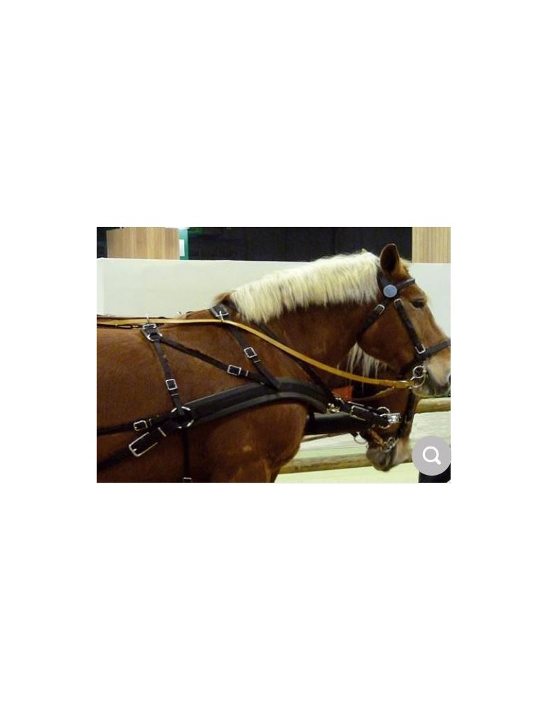 Harnais de poste nylon/cuir