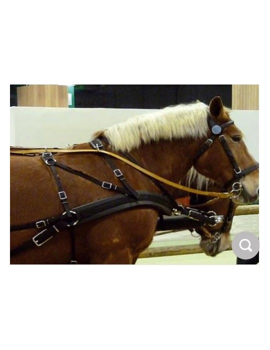 Harnais de poste nylon/cuir