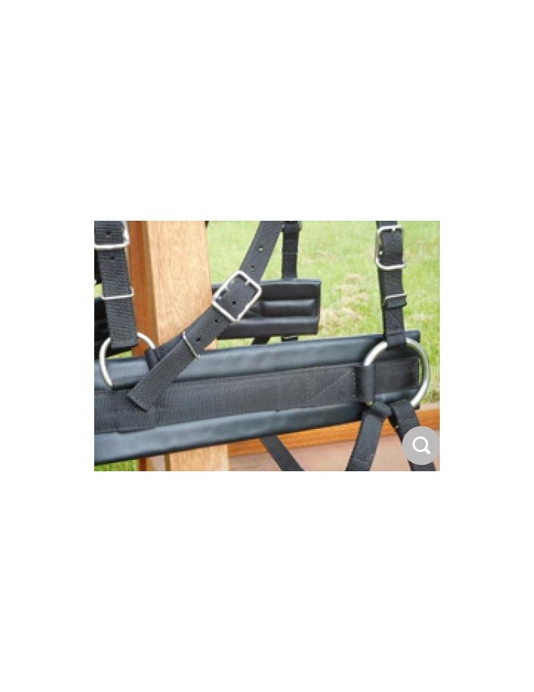 Harnais de poste nylon/cuir