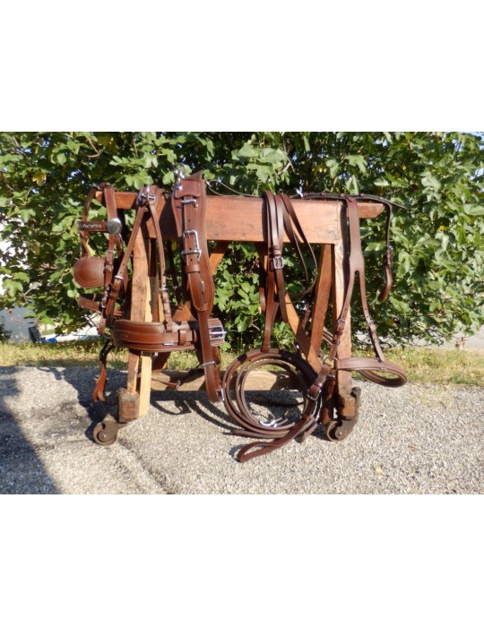 Harnais en simple cuir huilé - SB