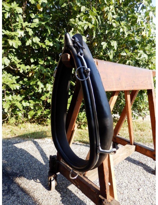 Collier anglais en biothane