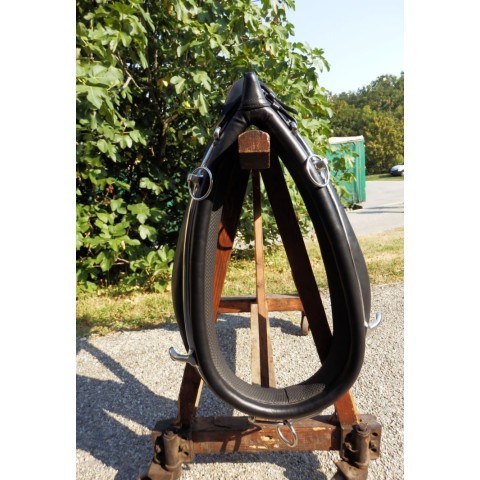 Collier anglais en biothane 2