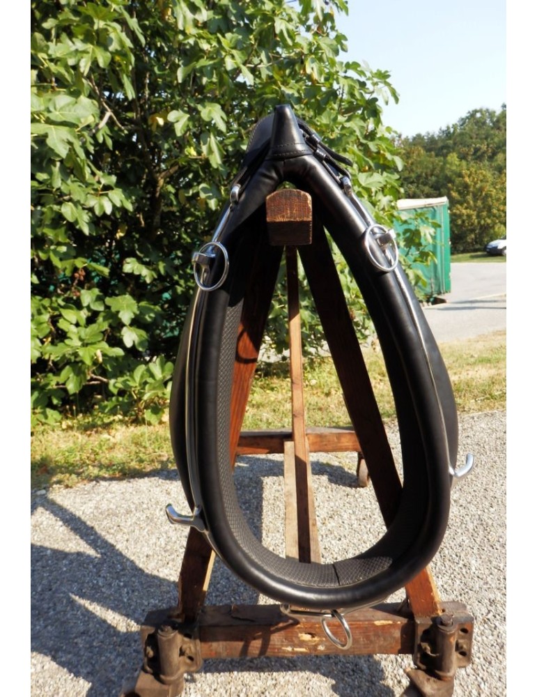 Collier anglais en biothane