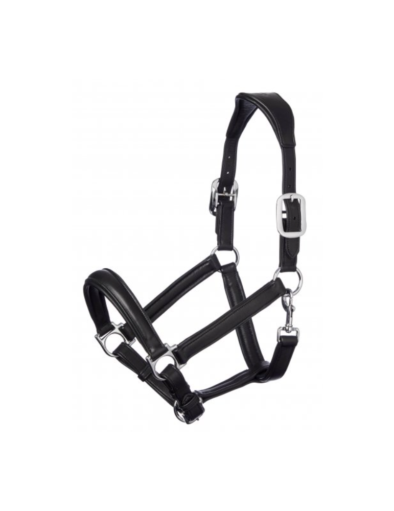 Licol Anatomic - Lemieux