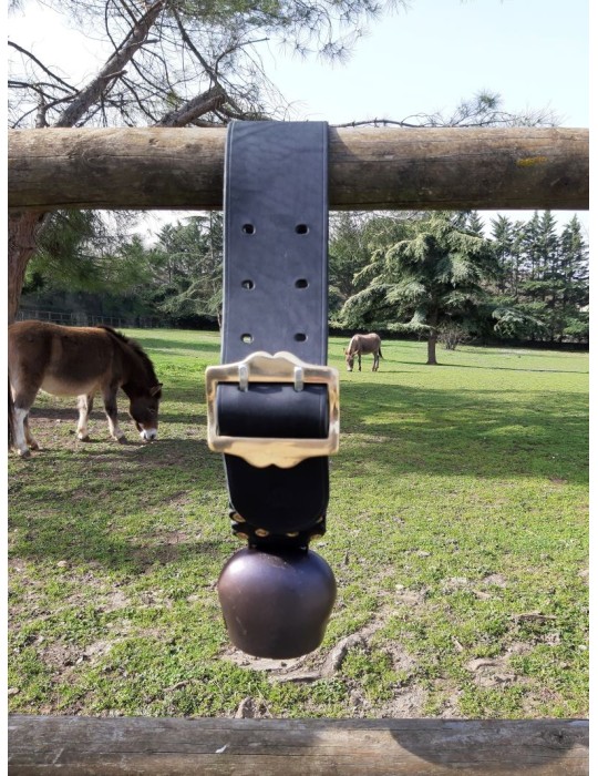 Cloche Premana montée