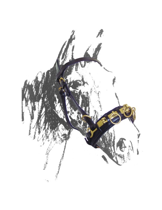 Caveçon en cuir - AMAHORSE