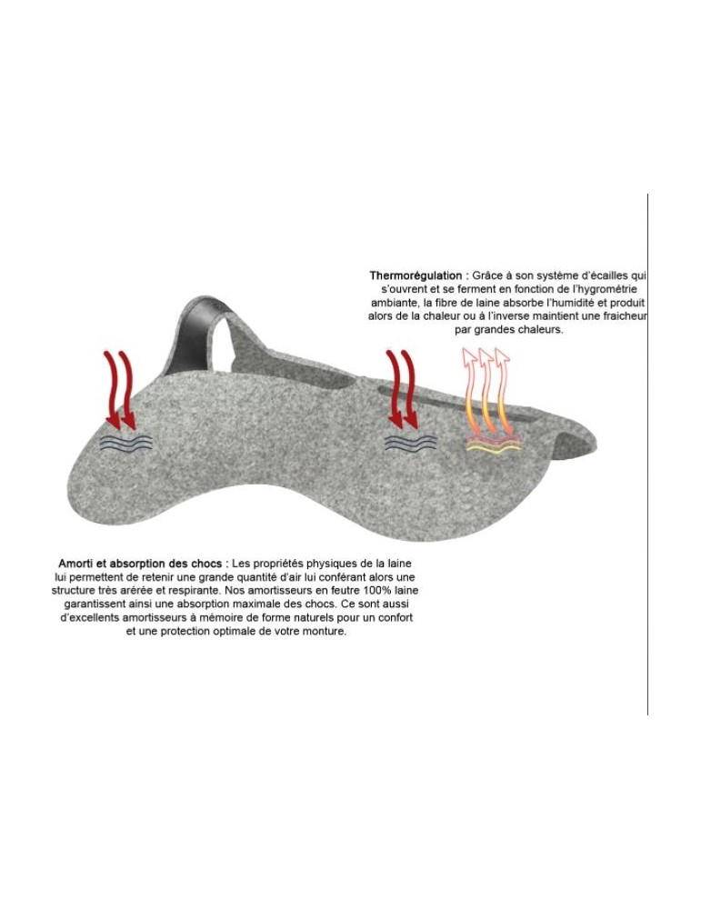 Amortisseur de dos Ronzon