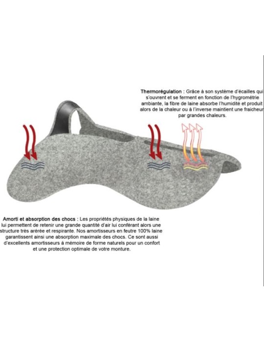 Amortisseur de dos Ronzon